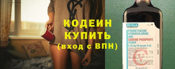 дмт Гусев
