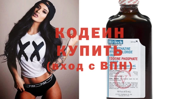 дмт Гусев