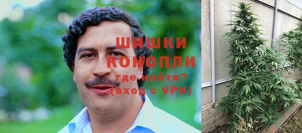mix Гусиноозёрск