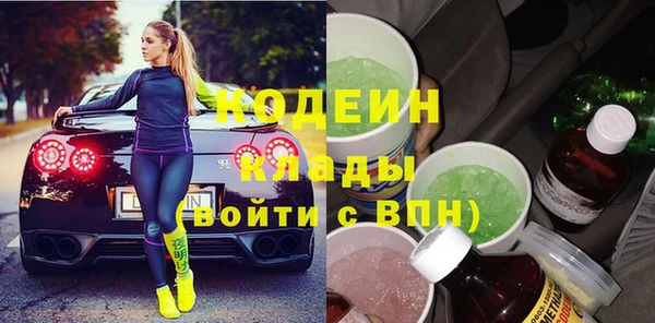 дмт Гусев