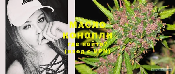 дмт Гусев