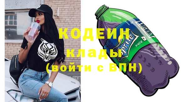 дмт Гусев