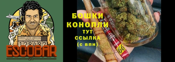 дмт Гусев