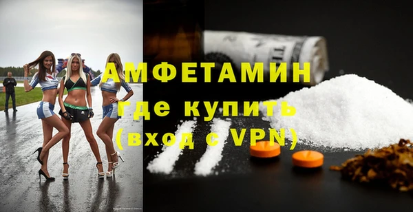 дмт Гусев