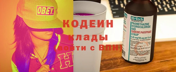 дмт Гусев